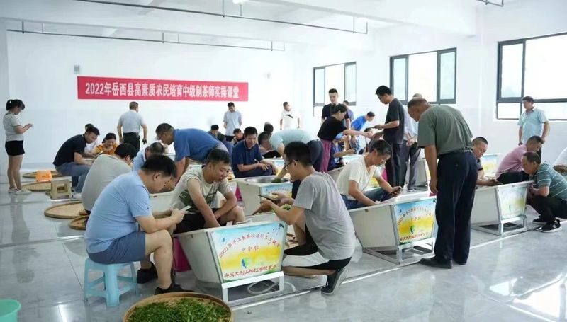 有关于徽茶产业成乡村振兴“硬核”力量的新闻