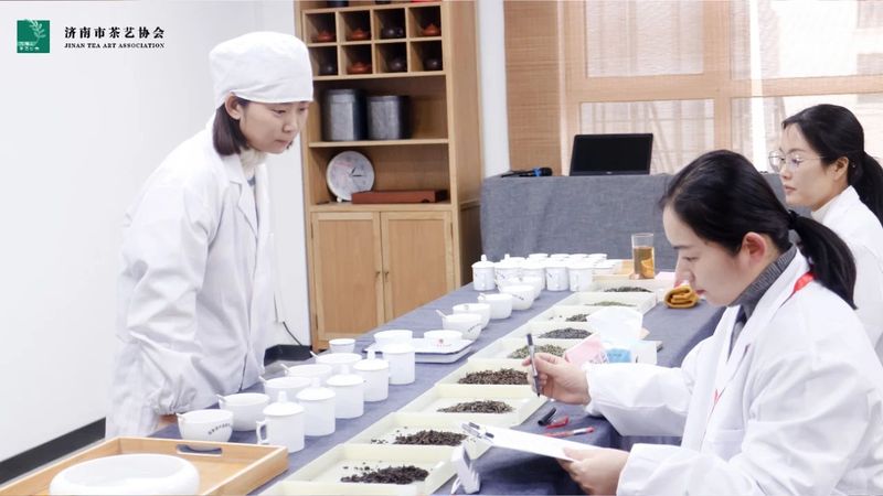 关于2022年济南市“技能月”茶艺评茶行业职业技能竞赛初赛圆满结束的资讯(19)