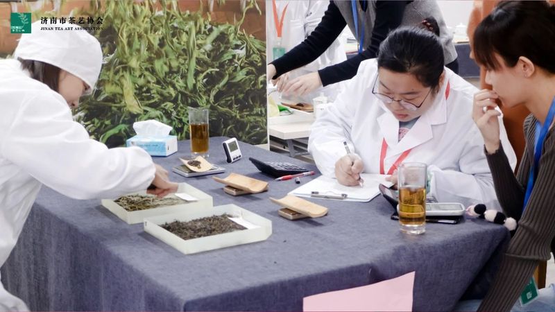 关于2022年济南市“技能月”茶艺评茶行业职业技能竞赛初赛圆满结束的资讯(12)