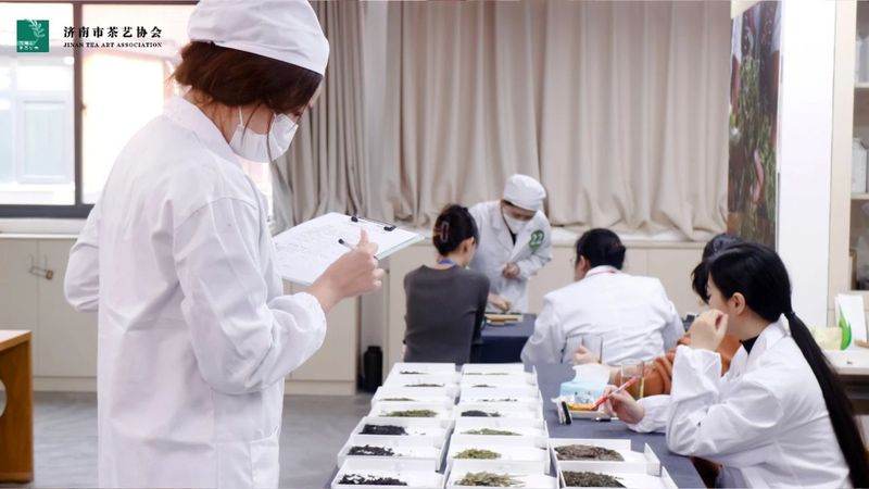 关于2022年济南市“技能月”茶艺评茶行业职业技能竞赛初赛圆满结束的资讯(14)
