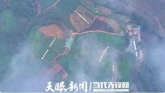 有关于贵州普安：寒意料峭时 茶山春意浓的相关信息(3)