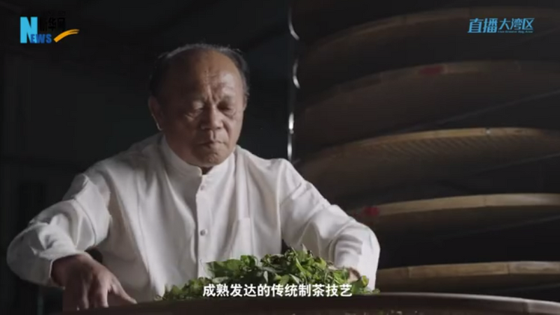 有关于潮州工夫茶——泡在茶杯里的匠心的内容(1)