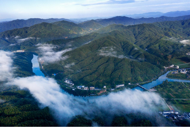 有关于2023世界三大高香红茶祁门对话将在黄山祁门举行的资讯(3)