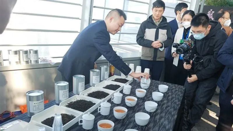关于助力乡村振兴、弘扬中国茶文化，福安红色山村顶级红茶亮相上海之巅的最新消息(2)