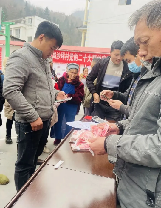 有关于悦乐镇沙坪村茶产业收益又分红了！的最新消息