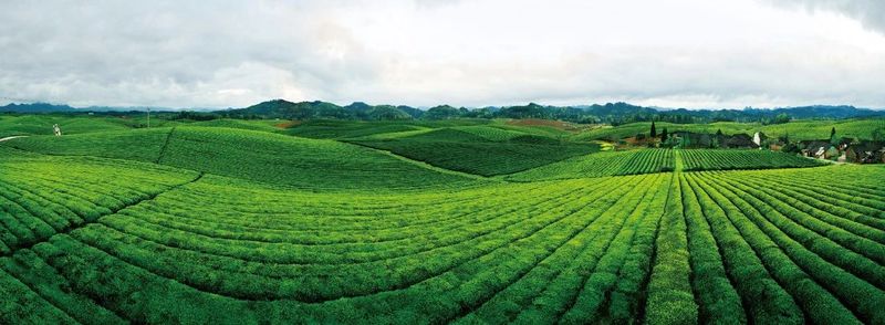 有关于政府工作报告解读：全面推进产业发展提质行动 全力夯实共同富裕产业基础的最新消息