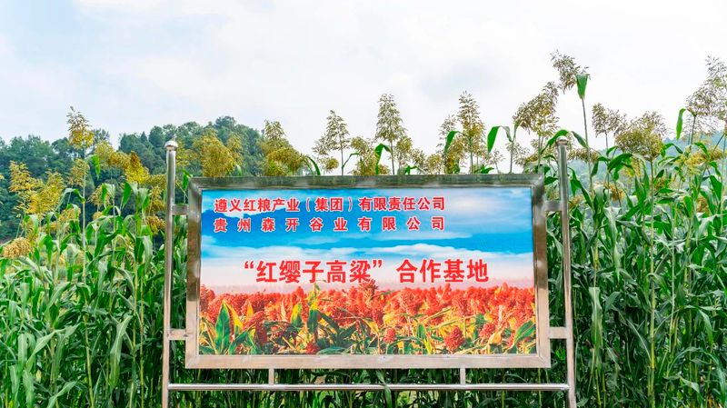 有关于政府工作报告解读：全面推进产业发展提质行动 全力夯实共同富裕产业基础的最新消息(1)
