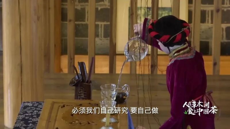 关于福建有一种畲族木偶泡的“非遗”茶的相关信息(2)