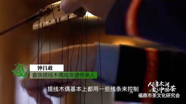 关于福建有一种畲族木偶泡的“非遗”茶的相关信息