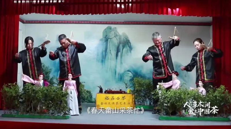 关于福建有一种畲族木偶泡的“非遗”茶的相关信息(5)