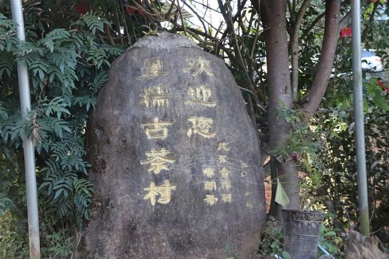 关于勐海县：一片绿茶叶，敲开大山人的“致富门”的新闻(5)