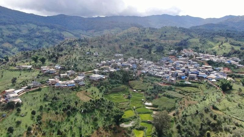 关于勐海县：一片绿茶叶，敲开大山人的“致富门”的新闻