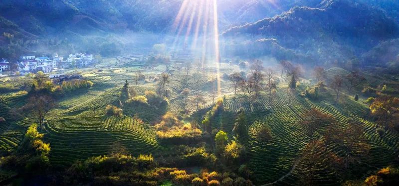 关于一盏红茶里的“世界对话”的最新消息(5)