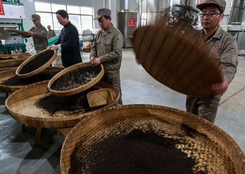 关于一盏红茶里的“世界对话”的最新消息(8)