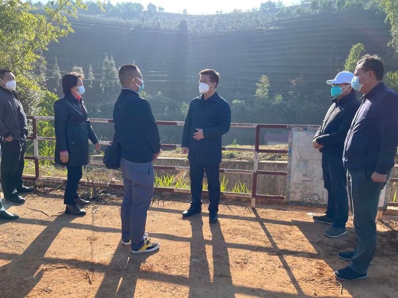 关于赵刚调研大渡岗田园综合体暨普洱茶一二三产融合发展示范项目的消息