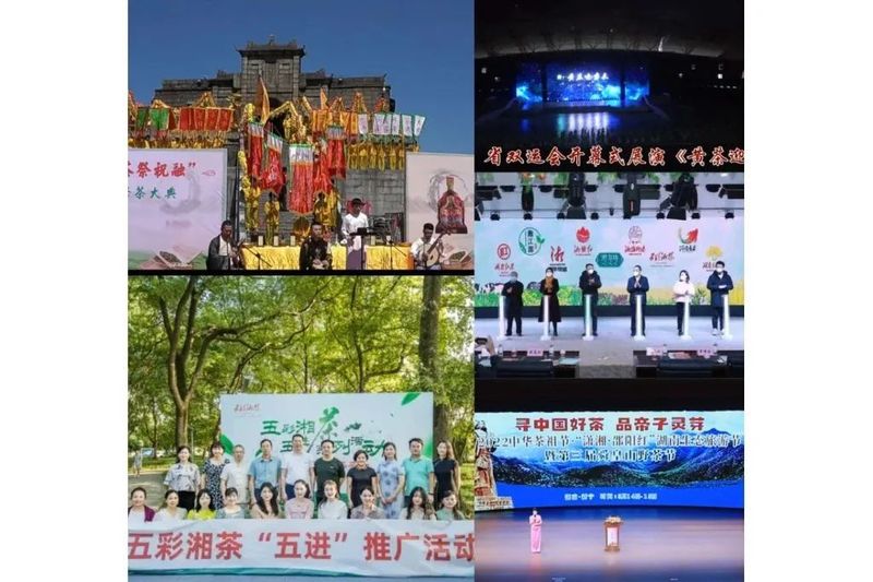 关于2022年湖南茶业十大事件的相关内容(10)