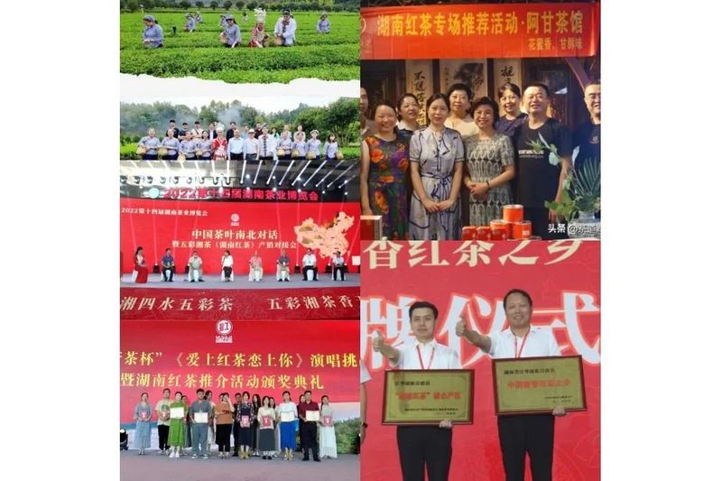 关于2022年湖南茶业十大事件的相关内容(5)