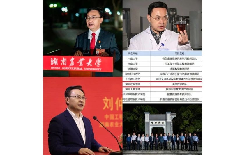 关于2022年湖南茶业十大事件的相关内容(1)