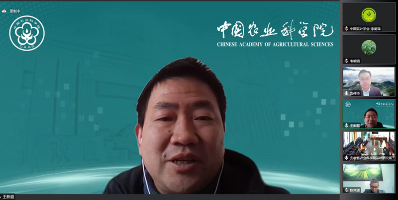 有关于中国茶叶学会组织召开“绿茶加工智能化关键技术创新及成套装备研发”、“茶树绿色高效繁育技术集成与应用”科技成果评价会(7)