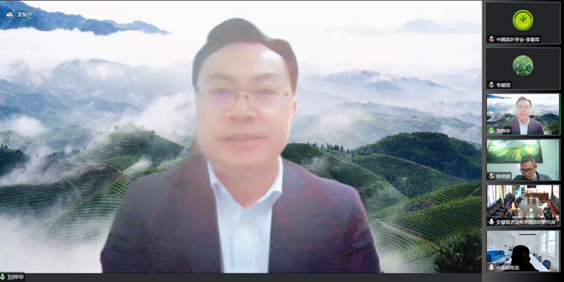 有关于中国茶叶学会组织召开“绿茶加工智能化关键技术创新及成套装备研发”、“茶树绿色高效繁育技术集成与应用”科技成果评价会(6)