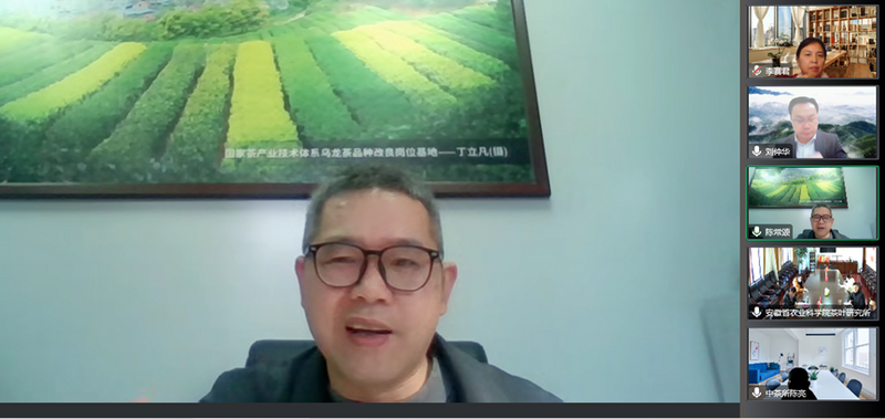 有关于中国茶叶学会组织召开“绿茶加工智能化关键技术创新及成套装备研发”、“茶树绿色高效繁育技术集成与应用”科技成果评价会(15)