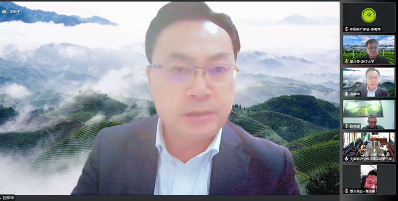 有关于中国茶叶学会组织召开“绿茶加工智能化关键技术创新及成套装备研发”、“茶树绿色高效繁育技术集成与应用”科技成果评价会(11)