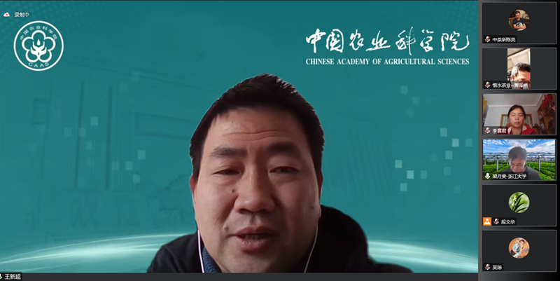 有关于中国茶叶学会组织召开“绿茶加工智能化关键技术创新及成套装备研发”、“茶树绿色高效繁育技术集成与应用”科技成果评价会(12)