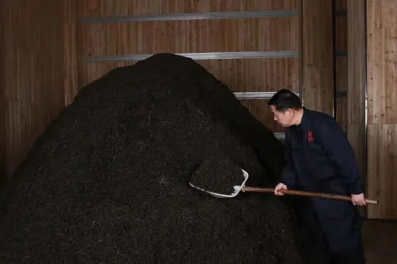 有关于聚焦茶非遗！茯砖茶制作如何“发花”？的消息(1)