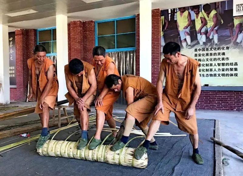 关于聚焦茶非遗！感受千两茶制作技艺的独特魅力的资讯(1)