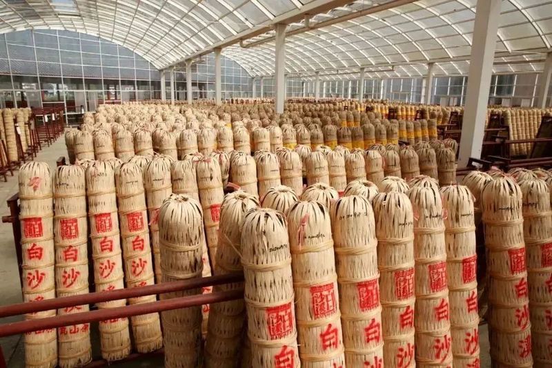 关于聚焦茶非遗！感受千两茶制作技艺的独特魅力的资讯