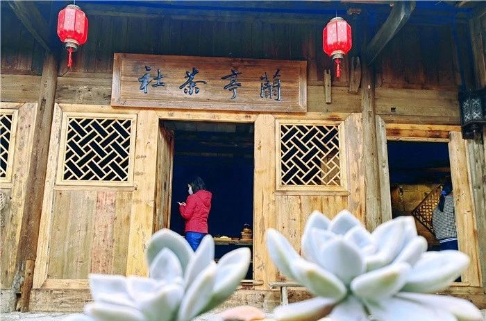 关于茶叶“出圏”让贵州湄潭连续三年位居中国茶业百强县榜首的内容(2)
