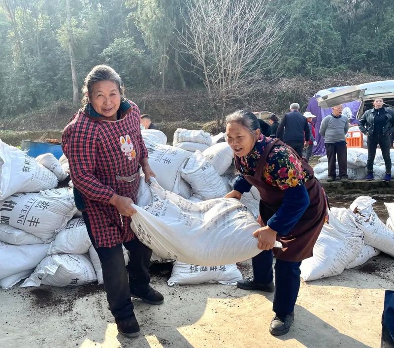 有关于茶园基地：27度恋生态茶园基地冬肥发放的相关信息
