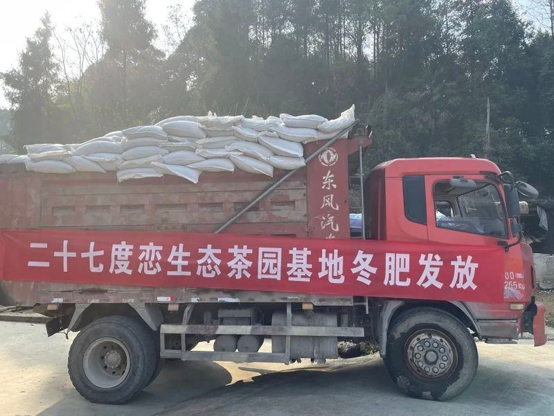有关于茶园基地：27度恋生态茶园基地冬肥发放的相关信息(1)