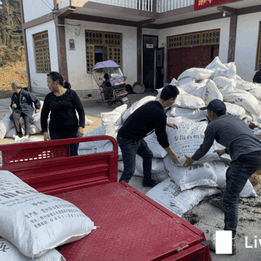 有关于茶园基地：27度恋生态茶园基地冬肥发放的相关信息(2)
