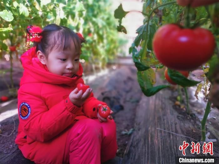 有关于黑龙江省首届冰雪露营大会“围炉煮茶”暖意浓的消息(4)