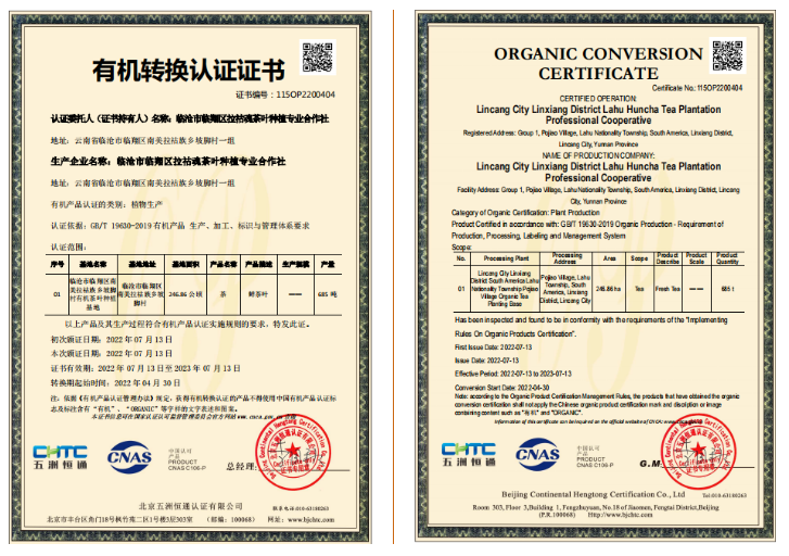 有关于南美拉祜族乡：探索实施党建引领全域有机茶园创建工程的资讯(7)