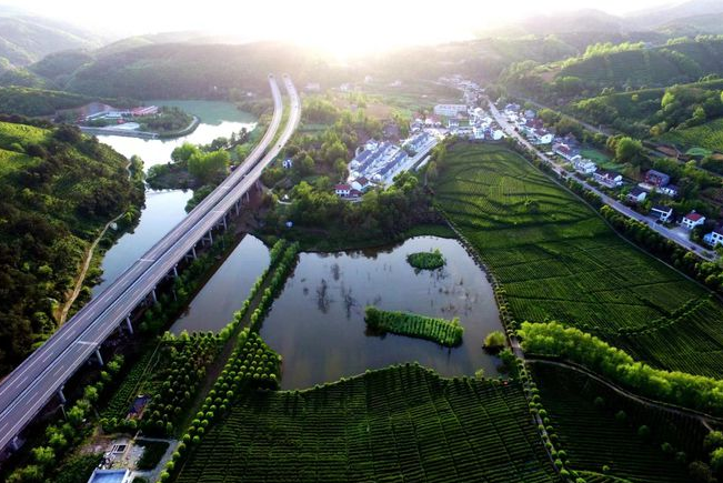 关于陕西省人大代表张为国：推动陕茶产业高质量发展 培育乡村振兴支柱产业的消息(1)