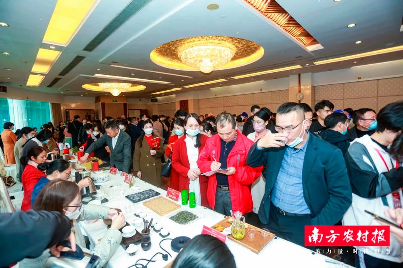 关于重磅！安化黑茶之“桑香茯茶”荣获中国首届“十大茶王”称号！的最新消息(3)