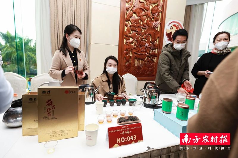 关于重磅！安化黑茶之“桑香茯茶”荣获中国首届“十大茶王”称号！的最新消息(4)