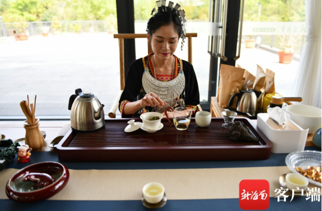 有关于海南大叶种探寻“破局之道”的相关信息