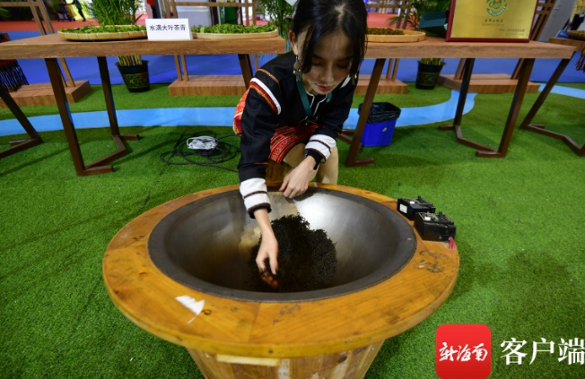 有关于海南大叶种探寻“破局之道”的相关信息(2)