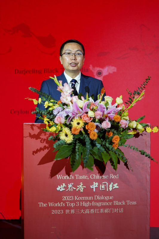 有关于“围炉谈茶”！世界三大高香红茶祁门对话的相关内容(4)