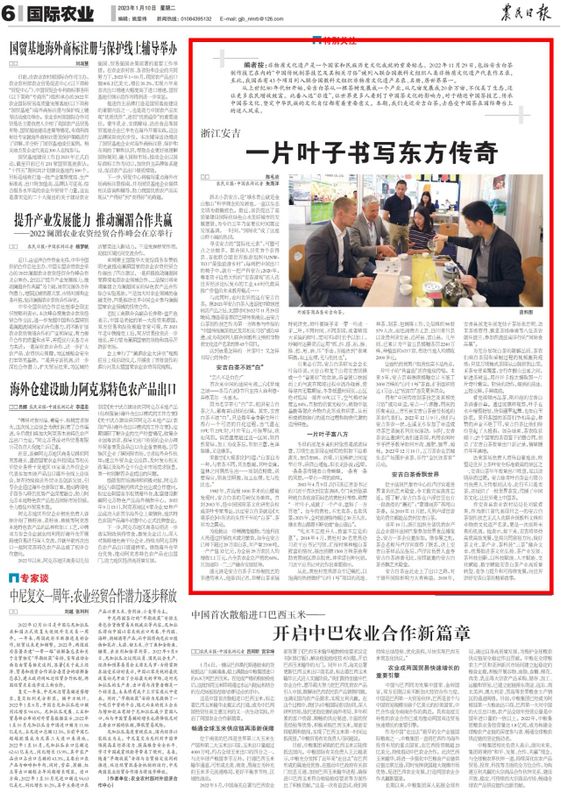 关于浙江安吉 一片叶子书写东方传奇的资讯