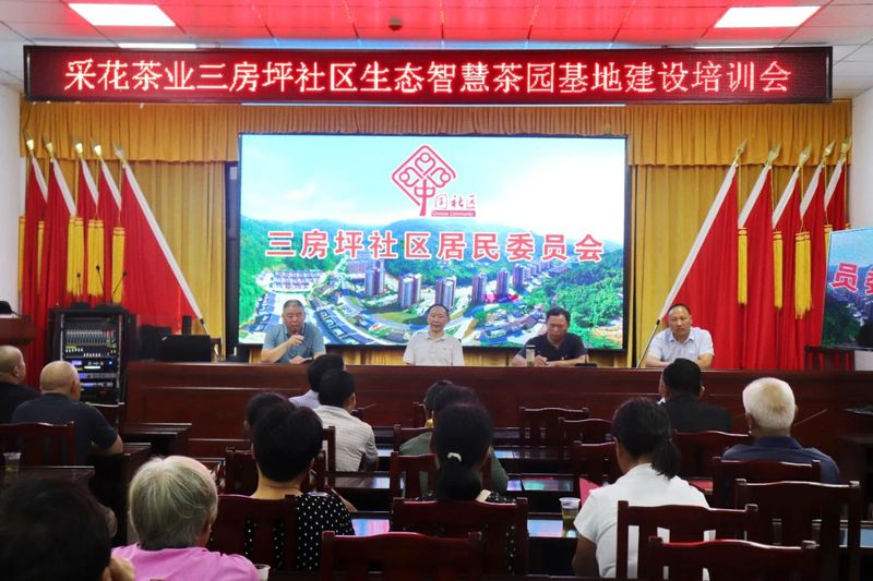 有关于茶叶香飘“振兴”路——五峰绿色融合推动茶产业高质量发展的信息(2)