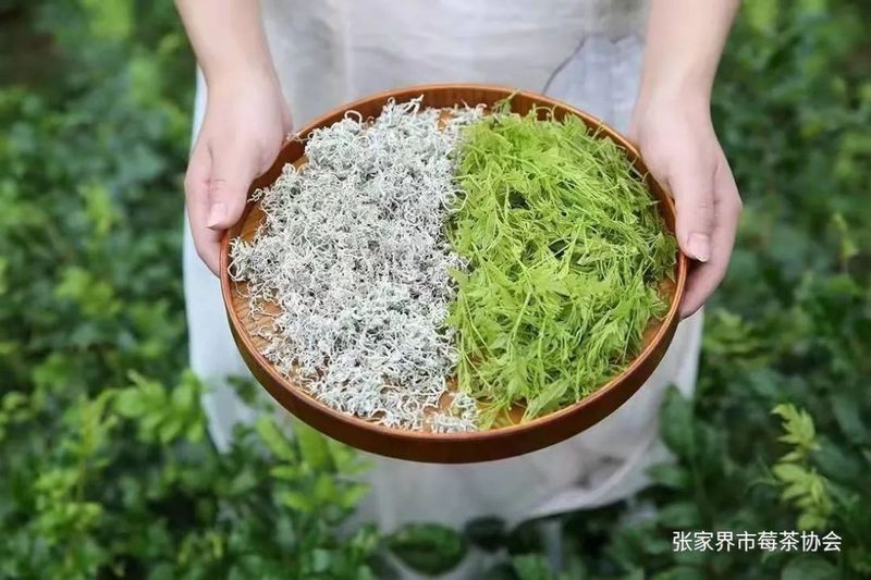 有关于“张家界莓茶”入选全国商标品牌建设优秀案例的最新消息