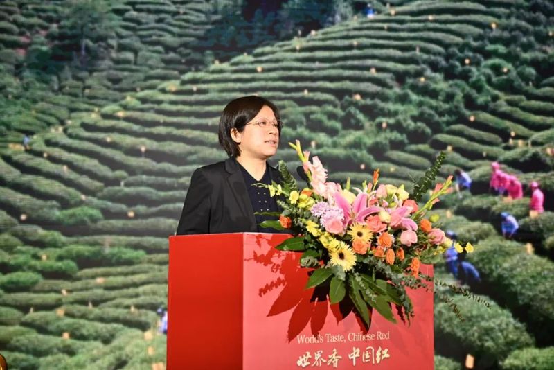 关于世界香 中国红 2023“世界三大高香红茶祁门对话”暨“听见祁红·想到徽州”喜马拉雅创作者大赛启动的新闻(3)