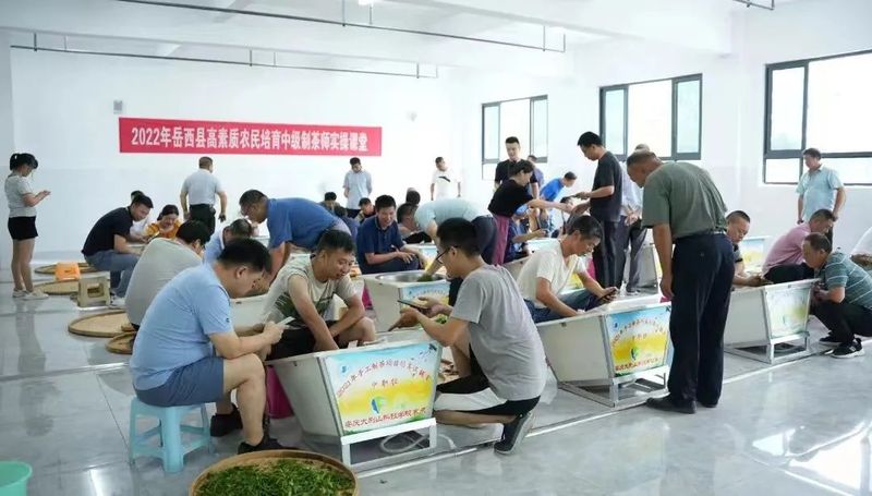 有关于徽茶产业成乡村振兴“硬核”力量的消息