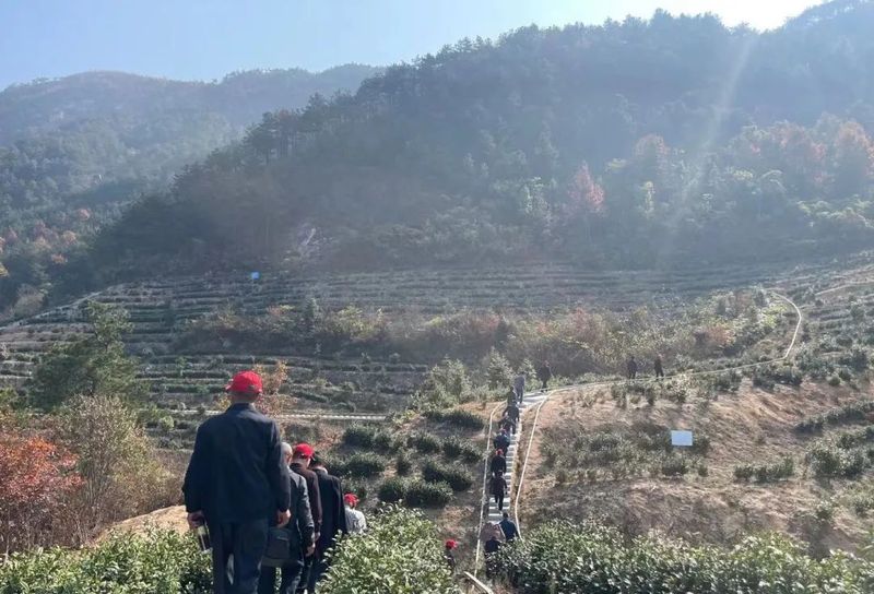 关于茶业协会开展高素质农民技能实训的信息(4)