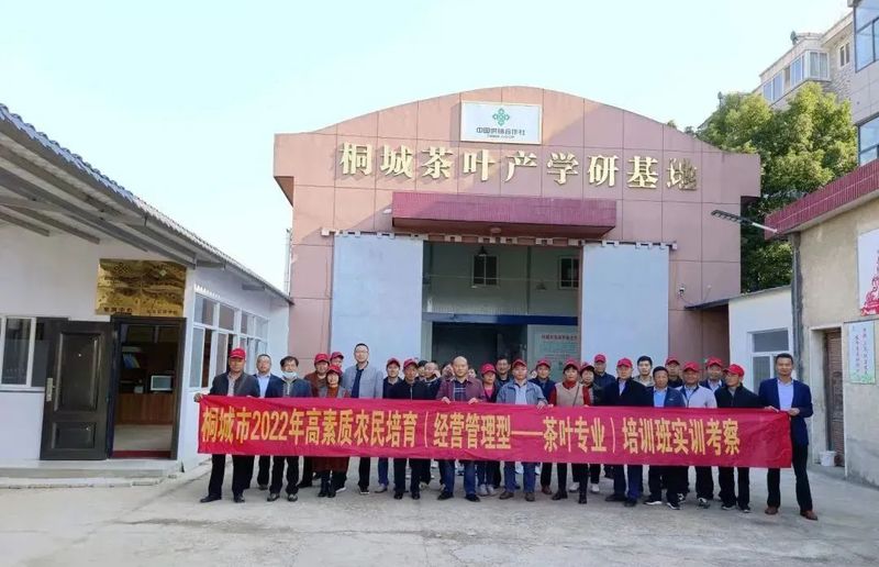 关于茶业协会开展高素质农民技能实训的信息