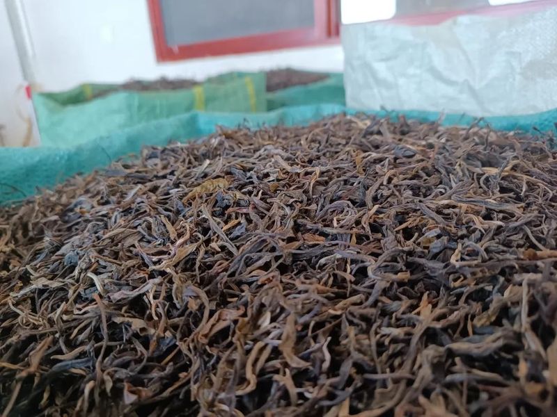 有关于勐腊县市场监督管理局：全面规范茶叶初制所建设的资讯(1)